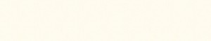 top_bg2